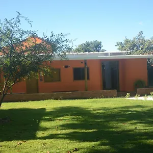 Amanduarte Brasília